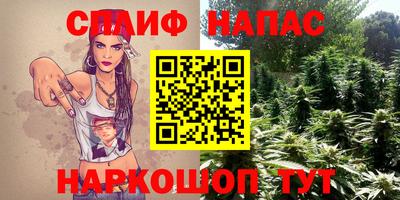 метадон Новодвинск